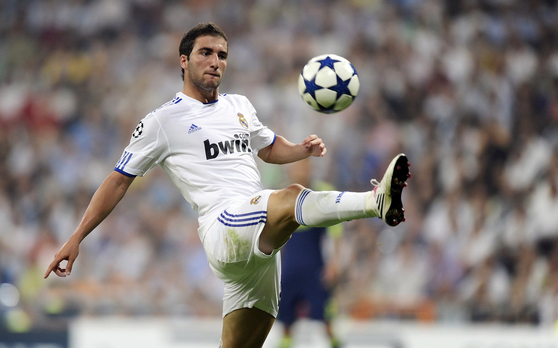 世界青年手球锦标赛中国队勇夺三连胜，世界手球锦标赛几年一次